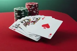 Bacará en vivo